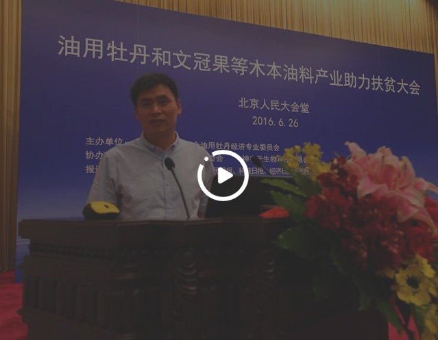 關于我們